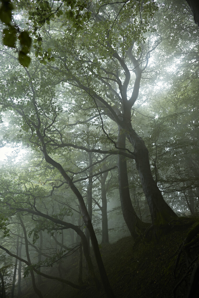 _DSC5059Ruegen_Full_Export_2017